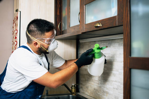 Best Pest Removal Services  in Union City, NJ