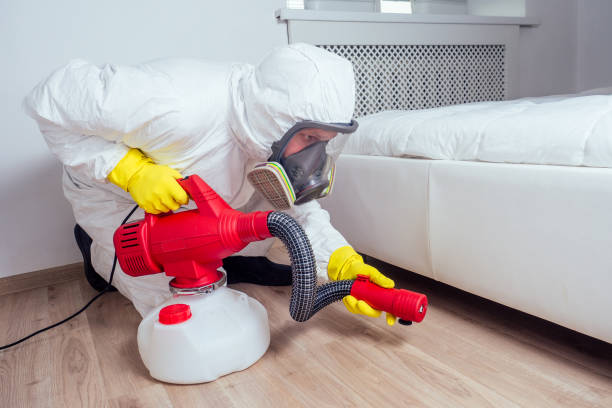 Best Insect Control  in Union City, NJ