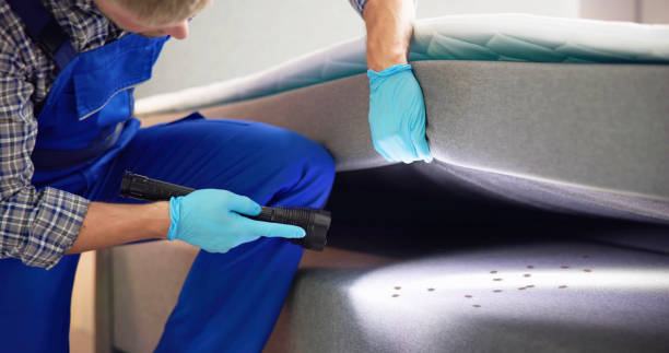 Best Flea Control Services  in Union City, NJ
