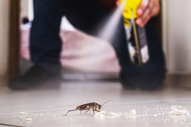 Best Wasp Removal Services  in Union City, NJ