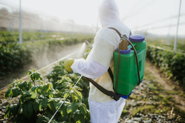  Union City, NJ Pest Control Pros